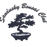 Sandusky Bonsai
                      Club