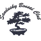 Sandusky Bonsai
                      Club