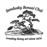 Sandusky Bonsai Club
                      - creating living art since 1974